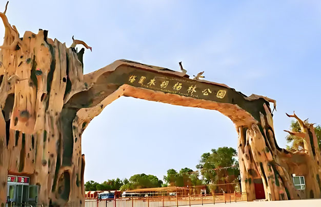 /uploads/image/2025/10/15/8c082b69163338495667a685eda0cb16.jpg 未标题-2.jpg