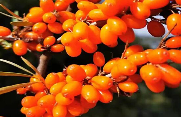 /uploads/image/2025/10/15/ce1d272ea8c06a5fec3a061bead4a5f6.jpg 8.jpg