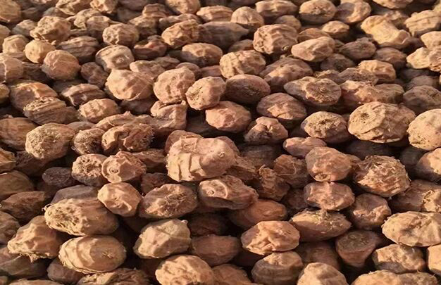 /uploads/image/2025/10/16/2faac4720282b9ce592ca97407beb8fb.jpg 1.jpg