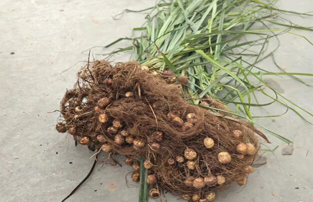 /uploads/image/2025/10/16/6fa6aa511bbb19a3db5a59b4a86bdc38.jpg 2.jpg