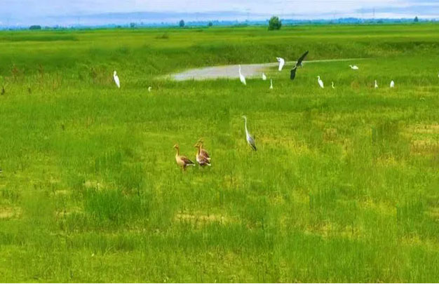 /uploads/image/2025/10/19/102c7459eb9236568fdf3f18cb6b0b3c.jpg 修4.jpg