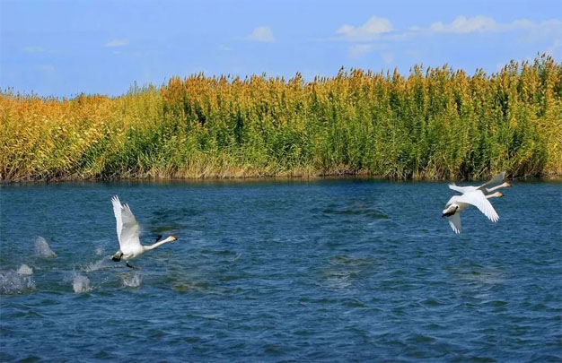 /uploads/image/2025/10/19/12d505143bcf49b8bbae1dd49331159c.jpg 修3.jpg