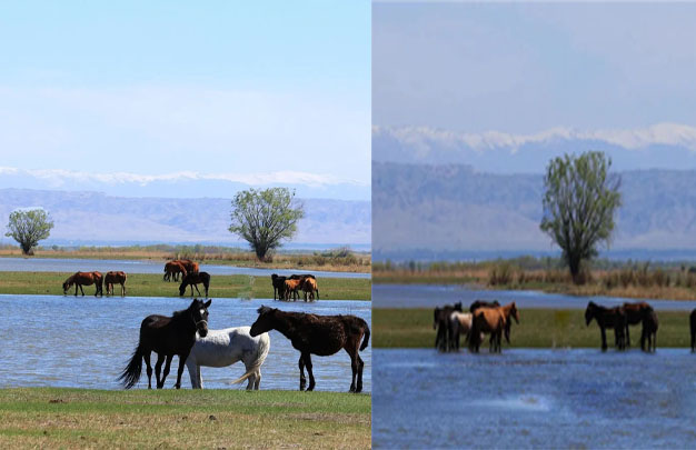 /uploads/image/2025/10/19/a6a1a04e7fe7103b71f7f6723fb1863d.jpg 修5.jpg