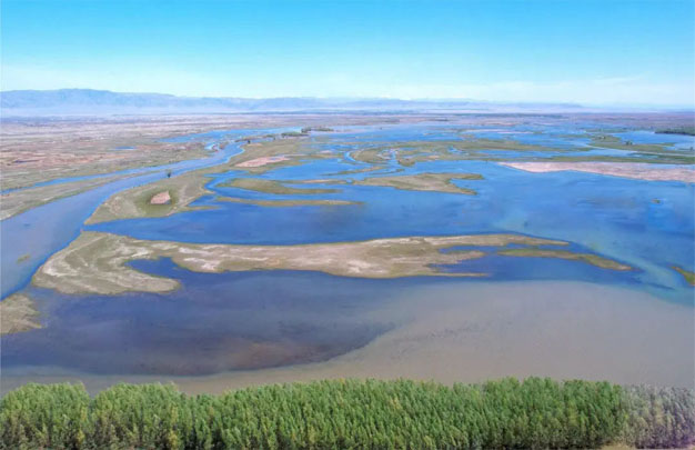 /uploads/image/2025/10/19/f21d8154f4a23d05e59bbb600ab4feaa.jpg 修1.jpg