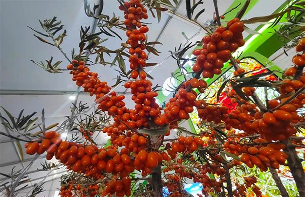 /uploads/image/2025/10/20/54f3d86b233e2aa8931643fff290502a.jpg 未标题-2.jpg