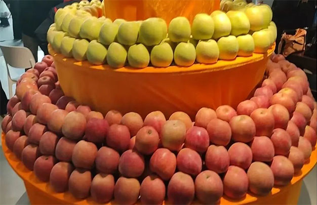 /uploads/image/2025/10/20/7daa9a31002a1c16ee0e75e97b2c4f3e.jpg 未标题-1.jpg