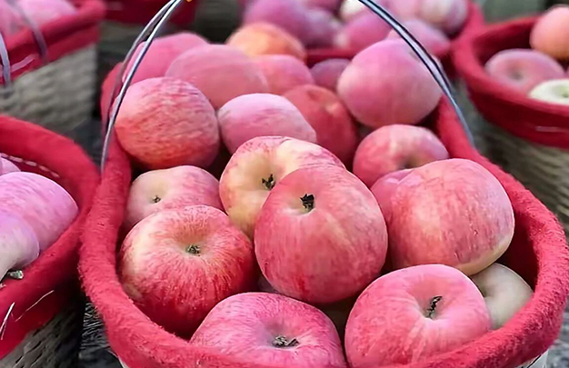 /uploads/image/2025/10/22/01f4c29dabb8d94dfcd00d4562695d41.jpg 3.jpg