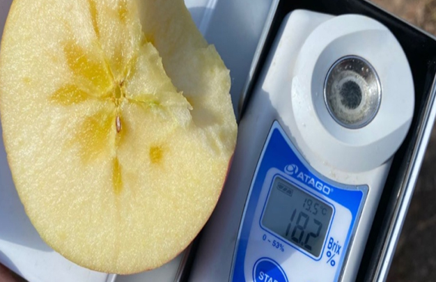 /uploads/image/2025/10/22/2f70e4daaf965b56afaa5ed63442ed27.jpg 5.jpg