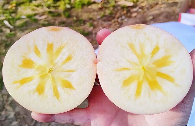 /uploads/image/2025/10/22/52ed8808ab0b7bd554df06e7c0ee6ff7.jpg 9.jpg