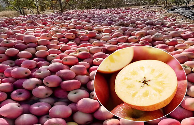 /uploads/image/2025/10/22/583bec629339be77b2ed6088e9c807d3.jpg 2.jpg