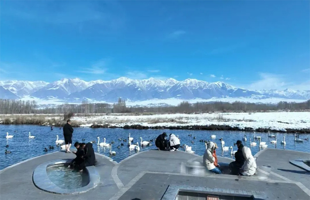 /uploads/image/2025/10/22/90cdb9cfa296fd81650e4e8cebebc436.jpg 修图2.jpg