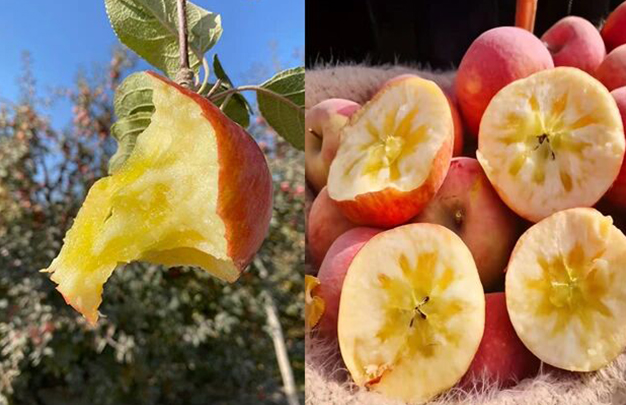 /uploads/image/2025/10/22/c7104543c62418ff4cbfba0878ae5cd2.jpg 4.jpg