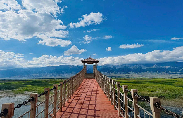 /uploads/image/2025/10/23/0ffeeb063302c0897efc75afffd1c8c7.jpg 6.jpg