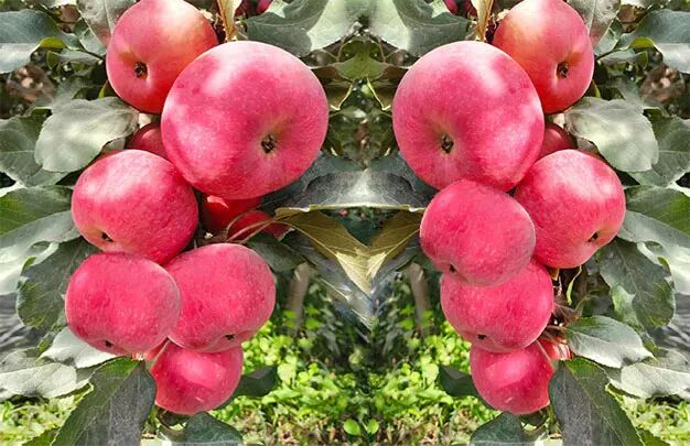 /uploads/image/2025/10/23/1bf15caa5064bae0890cf75b3e68ad8b.jpg 640 (3).jpg