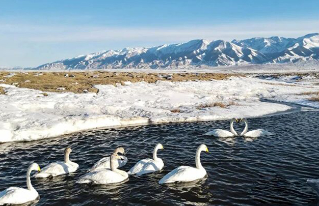 /uploads/image/2025/10/23/20784c460017c6dccae5c9e8c752125b.jpg 4.jpg