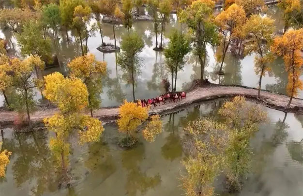 /uploads/image/2025/10/23/289441ba302556f8a5cfa70e3fb35fd2.jpg 修6.jpg