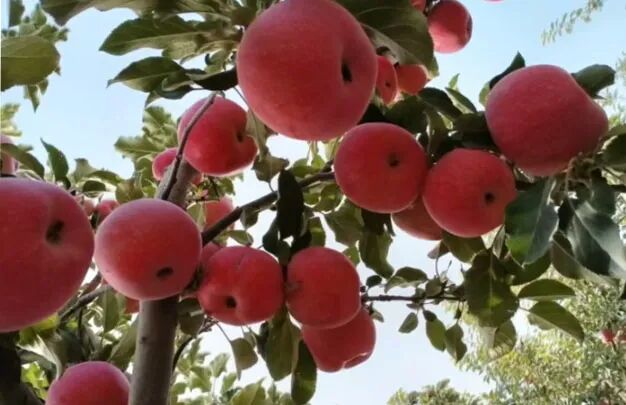 /uploads/image/2025/10/23/3d774606d50f84763aaa57c53d470f6f.jpg 640 (6).jpg