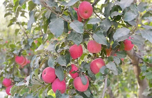 /uploads/image/2025/10/23/3ddde80b8b56e839f3143508235f37c7.jpg 未标题-3.jpg