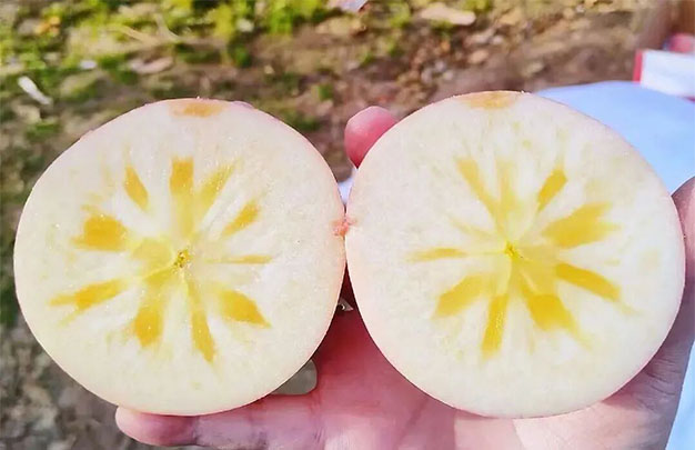 /uploads/image/2025/10/23/5bf2f4a3fa0b6b6b19b9c5d929dc5c2d.jpg 未标题-1.jpg