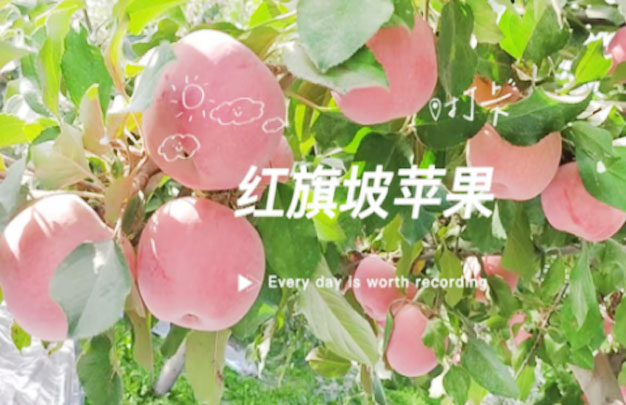 /uploads/image/2025/10/23/77551c1c8fed3092b4cee55fafcad347.jpg 未标题-0.jpg