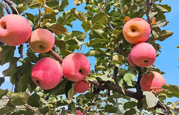 /uploads/image/2025/10/23/9410d83b2ec28d82893cf7d2745634e1.jpg 未标题-2.jpg