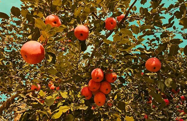 /uploads/image/2025/10/23/99d6ed80c36587bb891f52d8fa5741f9.jpg 640 (7).jpg