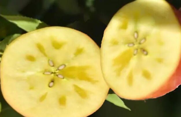 /uploads/image/2025/10/23/c9ef6269435d8872985e9a3083b63db0.jpg 640.jpg