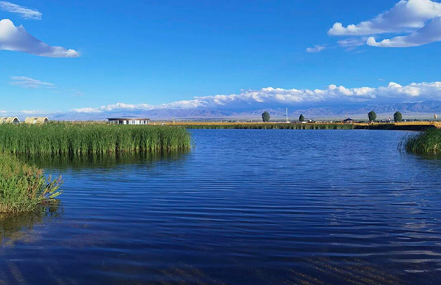 /uploads/image/2025/10/23/e906654de5935c0774ab0849b468bcd9.jpg 2.jpg