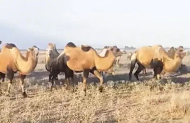 /uploads/image/2025/10/24/c63813b24989e34e335e3ab2573b7537.jpg 640 (3).jpg