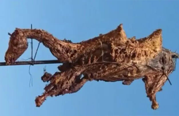 /uploads/image/2025/10/24/fc2d376d2b3bc093a4debf87c7babcc7.jpg 未标题-2.jpg