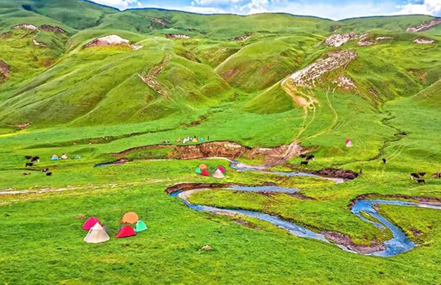 /uploads/image/2025/10/25/0d0c13aca84055a1a8b049d986d6aa7f.jpg 5.jpg