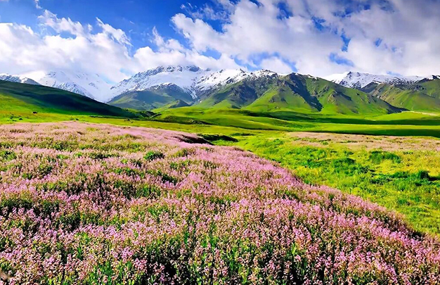 /uploads/image/2025/10/25/ad2734f1c5c4b6e1e452a7b1c003d6bb.jpg 3.jpg