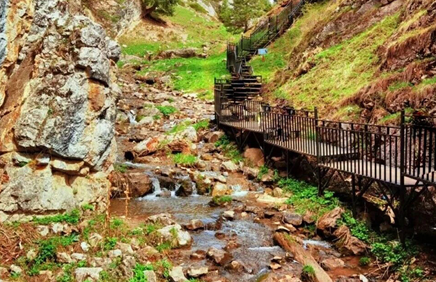 /uploads/image/2025/10/25/b575b41dc59a29c3fb0c0e516a245a70.jpg 6.jpg