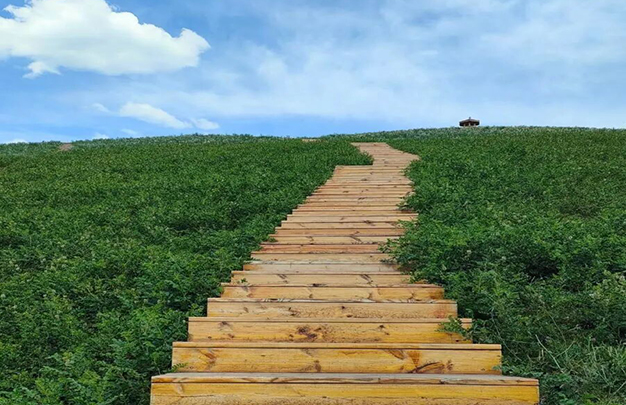 /uploads/image/2025/10/25/c635948aa07148ff12095b3a9c513c1b.jpg 8.jpg