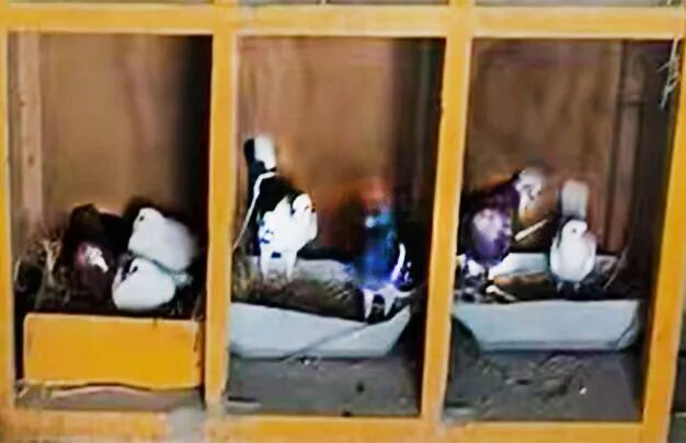 /uploads/image/2025/10/26/002b0966514d397e23d4e2dfeda19e30.jpg 640 (4).jpg