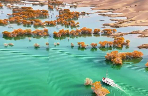 /uploads/image/2025/10/26/018700eefea252bef7dba432c161d2e6.jpg 未标题-1.jpg