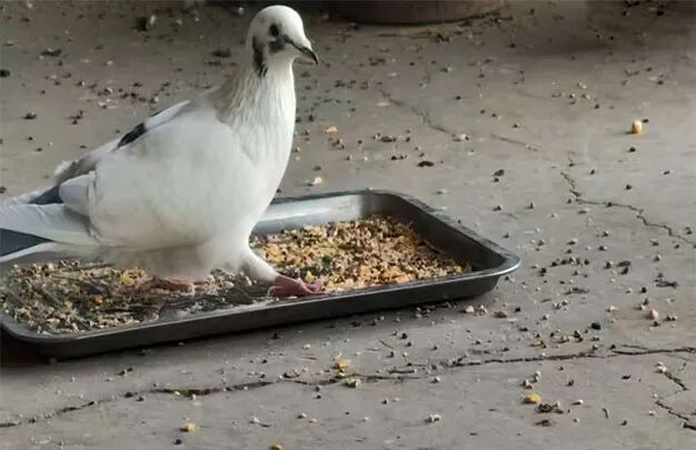 /uploads/image/2025/10/26/08ba9037b5dd303418eba6e6454ecc97.jpg 640 (3).jpg