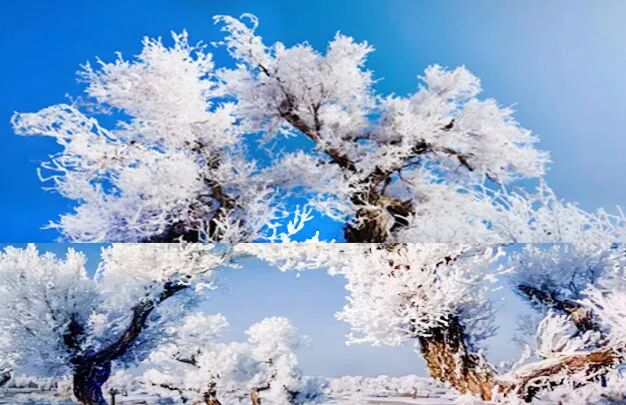 /uploads/image/2025/10/26/2f9149d32f761a8c8de223930f256f6d.jpg 640 (5).jpg