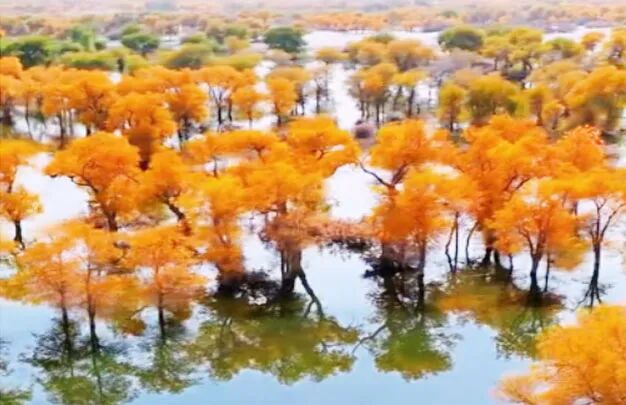 /uploads/image/2025/10/26/4e08444ee4df6393e2cad352eed21715.jpg 640 (7).jpg