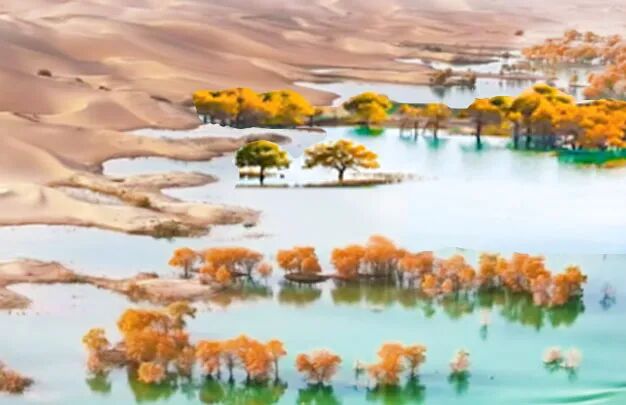 /uploads/image/2025/10/26/6b2706c6e0d18db32bb3ca54cc023a37.jpg 640 (2).jpg