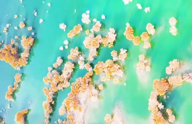 /uploads/image/2025/10/26/7ce3db1fa51eab7847317e81f1353686.jpg 640 (1).jpg