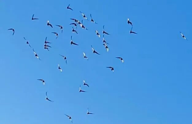 /uploads/image/2025/10/26/924f4f1c52c14d660f00b448469bc24d.jpg 640.jpg