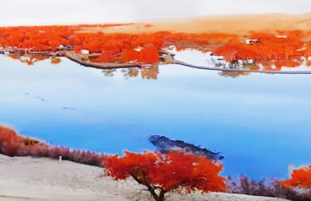 /uploads/image/2025/10/26/926c76d5f4030d422894cdc07e235ae5.jpg 640 (3).jpg