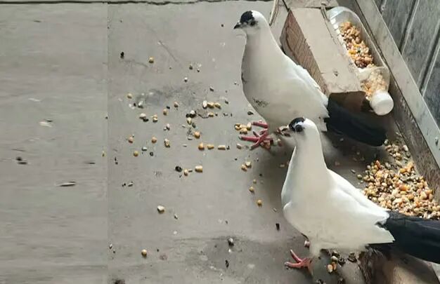 /uploads/image/2025/10/26/be708e7ee7d2e8cb3e67235fae9e4735.jpg 640 (2).jpg