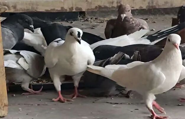 /uploads/image/2025/10/26/e116a284d201b91747fac754444054c8.jpg 640 (1).jpg