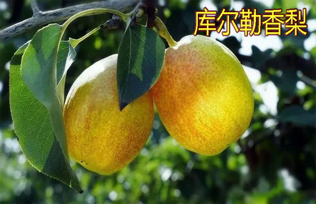 /uploads/image/2025/10/27/2bcb323498ea9e685393152255e57a9a.jpg 修4.jpg