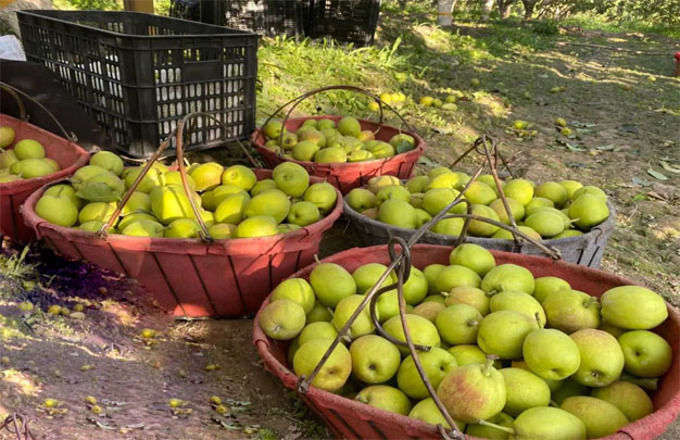 /uploads/image/2025/10/27/7ddcc6d261ba9b60110aa8359a5fc785.jpg 修3.jpg