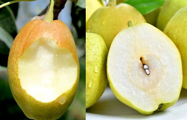 /uploads/image/2025/10/27/fe3337de9e4879864a19ea2ea05a1752.jpg 修1.jpg