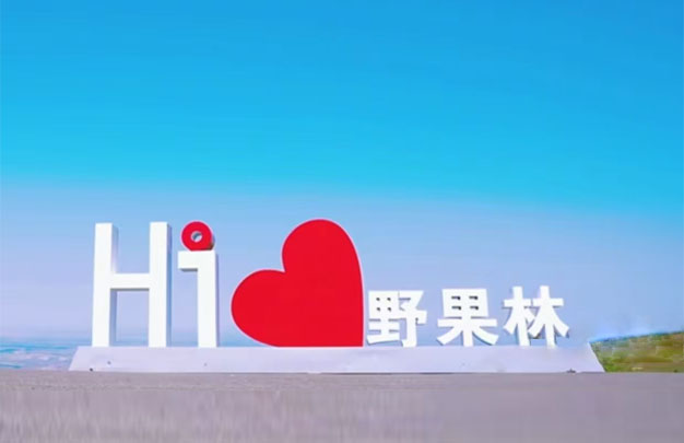 /uploads/image/2025/10/29/c2e2c19dbda475183f1f7fe6df3ca319.jpg 未标题-4.jpg