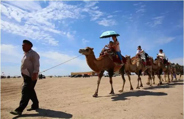 /uploads/image/2025/10/30/733146195fc30b021ca156a2c70d8ef4.jpg 修7.jpg